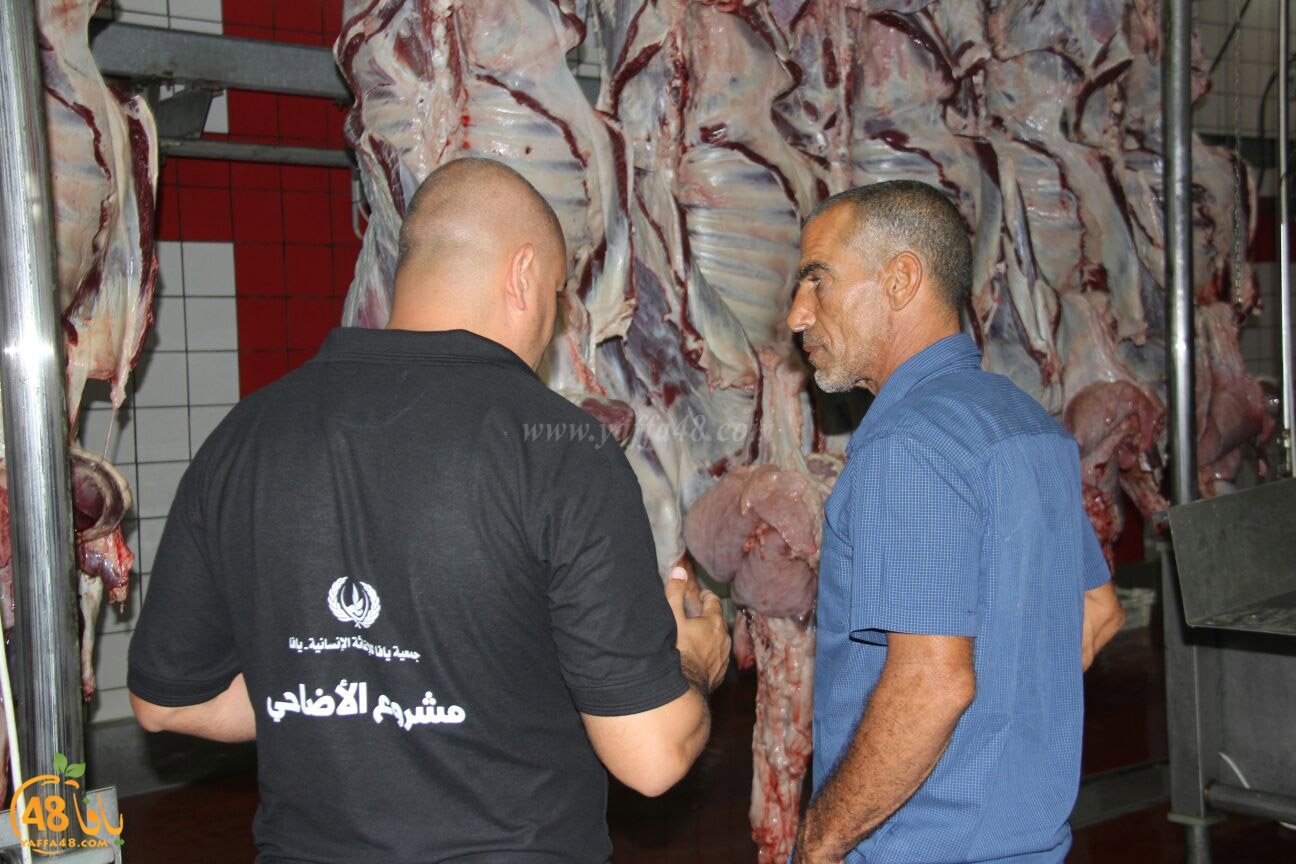 jam3iya yaffa 3ojolej (18).jpg